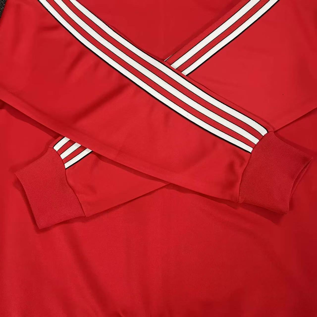 Fato de Treino Benfica 2025 ICON RANGE TRAVEL
